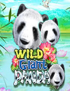 รู้จักกับ ps สล็อต สุดมันส์จาก Jili ที่คุณห้ามพลาด!